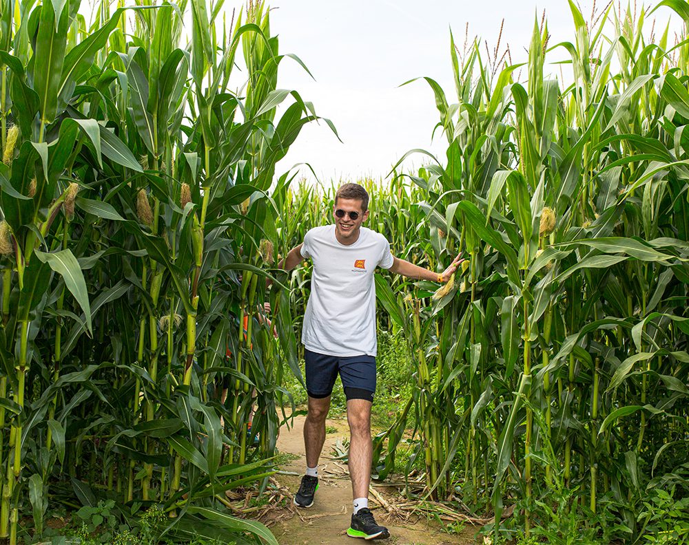 Labyrinthe de maïs en Normandie
