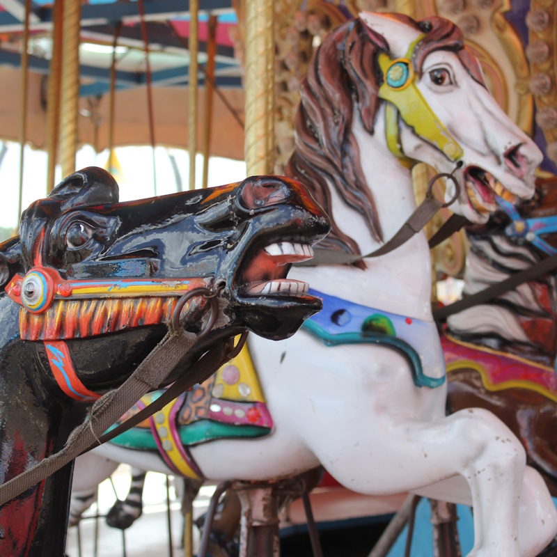 Poneys mécaniques