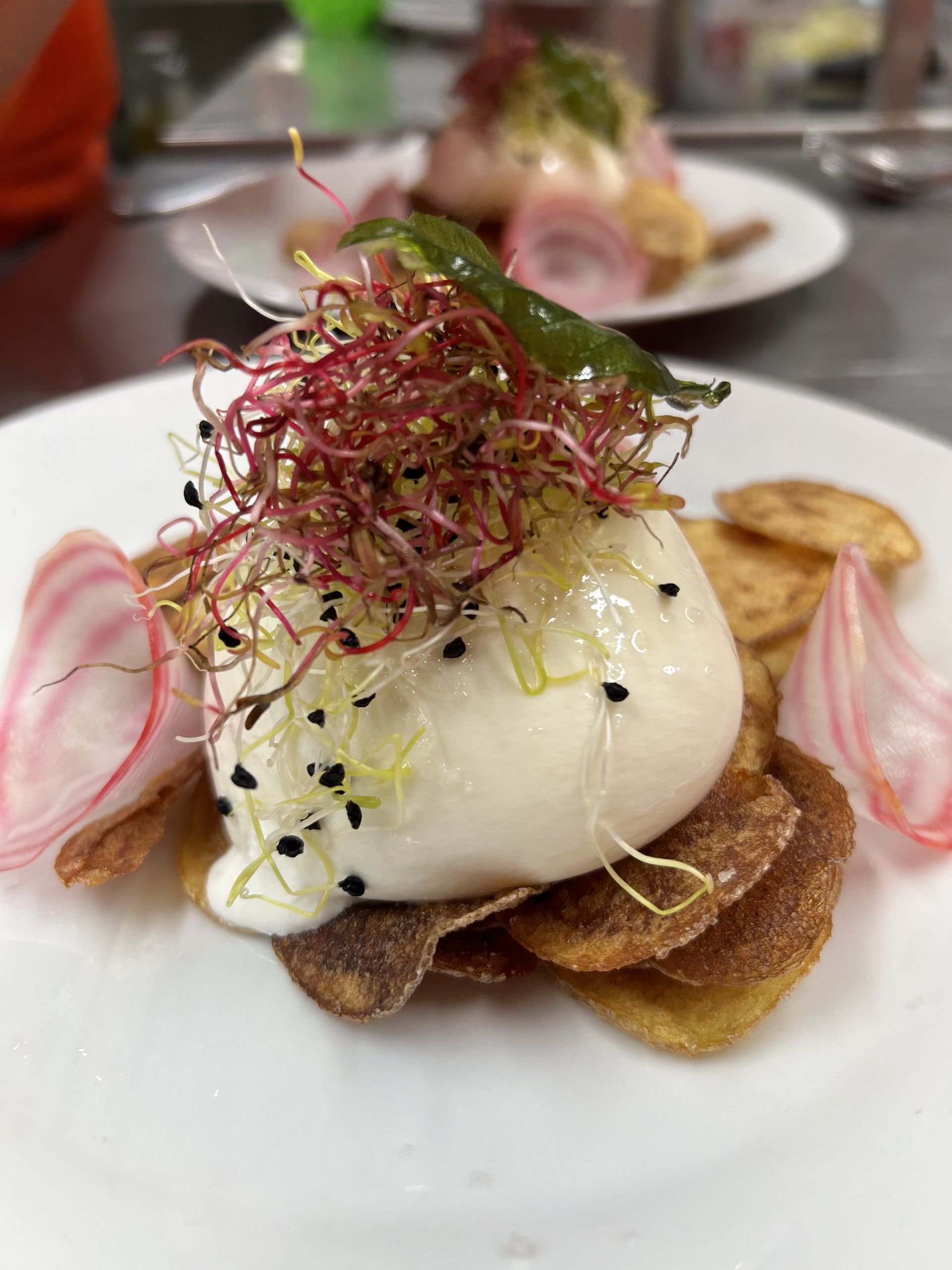 Assiette de burrata servie lors d'un événement